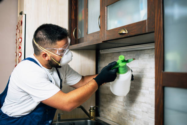 Best Affordable Pest Control Services  in Bonner West Riverside, MT