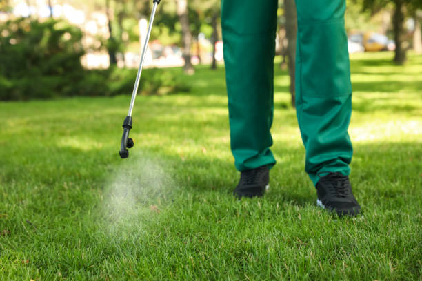 Best Affordable Pest Control Services  in Bonner West Riverside, MT