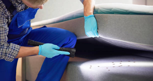 Best Termite Control Services  in Bonner West Riverside, MT