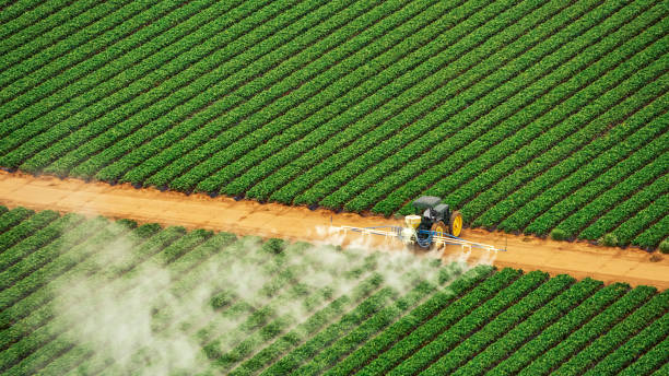 Best Local Pest Control Services  in Bonner West Riverside, MT
