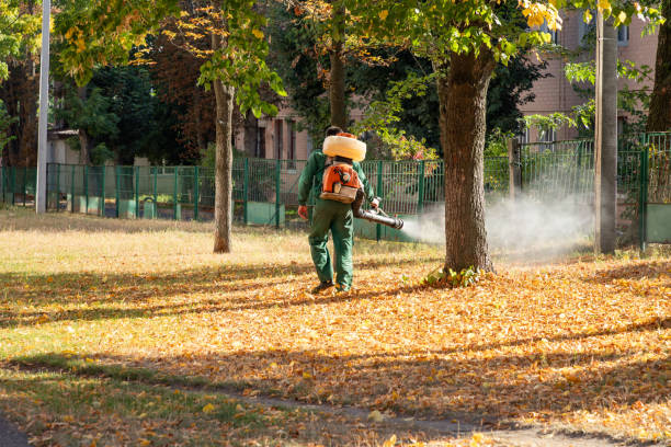 Best Exterminator Services  in Bonner West Riverside, MT