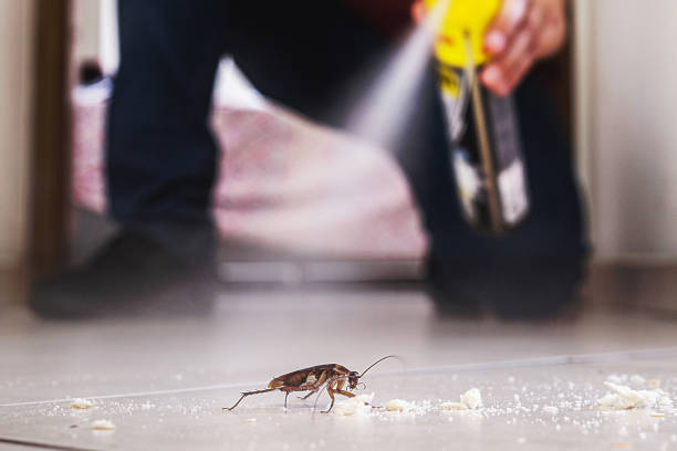 Best Wildlife Control Services  in Bonner West Riverside, MT