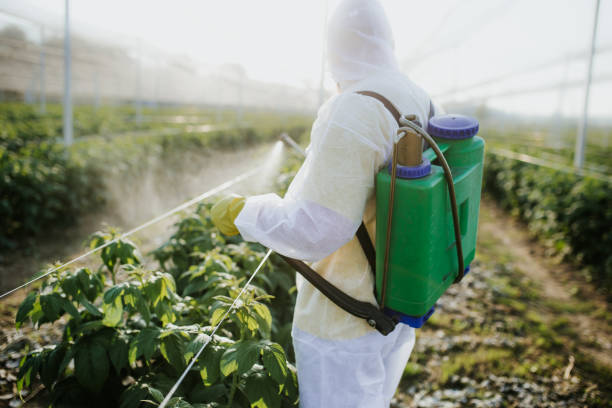 Best Pest Removal Services  in Bonner West Riverside, MT